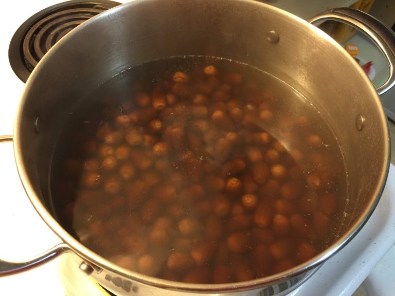 え どんぐりって食べれるの どんぐりを使ってクッキーを作りました ホイクペディア 海外保育士の留学情報サイト